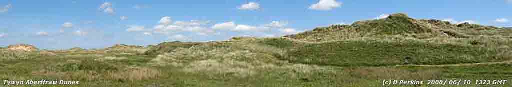 The willow slack at Tywyn Aberffraw.