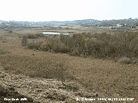 Cors Goch National Nature Reserve.