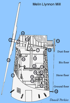 Diagram of Melin Llynnon by Donald Perkins © 2000