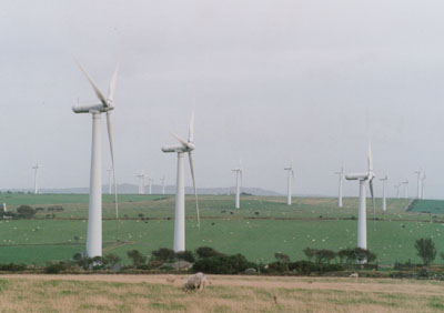The Alaw wind-farm on Anglesey. Photo: © 2000 D. Perkins.