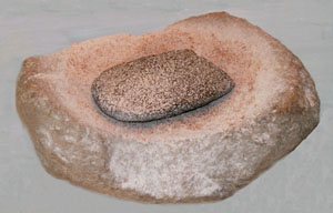 Example of an Anglesey handmill (quern). Photo: © 2000 D. Perkins.
