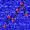 Cliciwch yma: Glawiad 2000: &copy; 2002 D.Perkins.