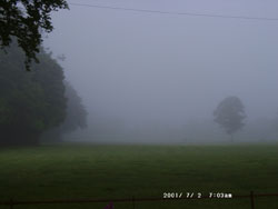 Early morning fog.