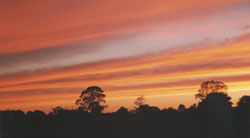 Stratocumulus clouds lit by the setting sun at Llansadwrn on 15 October. &copy; 2000 D. Perkins.