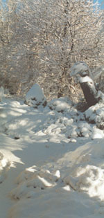 The garden under deep snow.