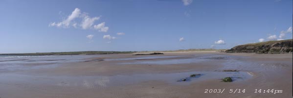 Click to see what I found in pools at Traeth Aberffraw exposed by the low spring tide on 14 May 2003.