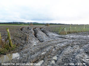 Liquid mud & 2 ft deep ruts in gateway to field.